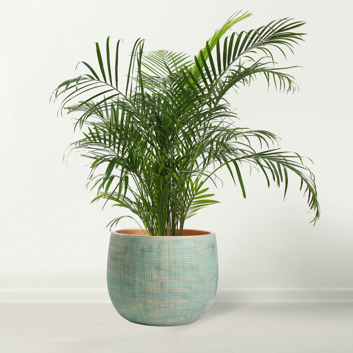 Ceramic Green Gold Plant Pot - Large 10" - Indoor & Outdoor Planters