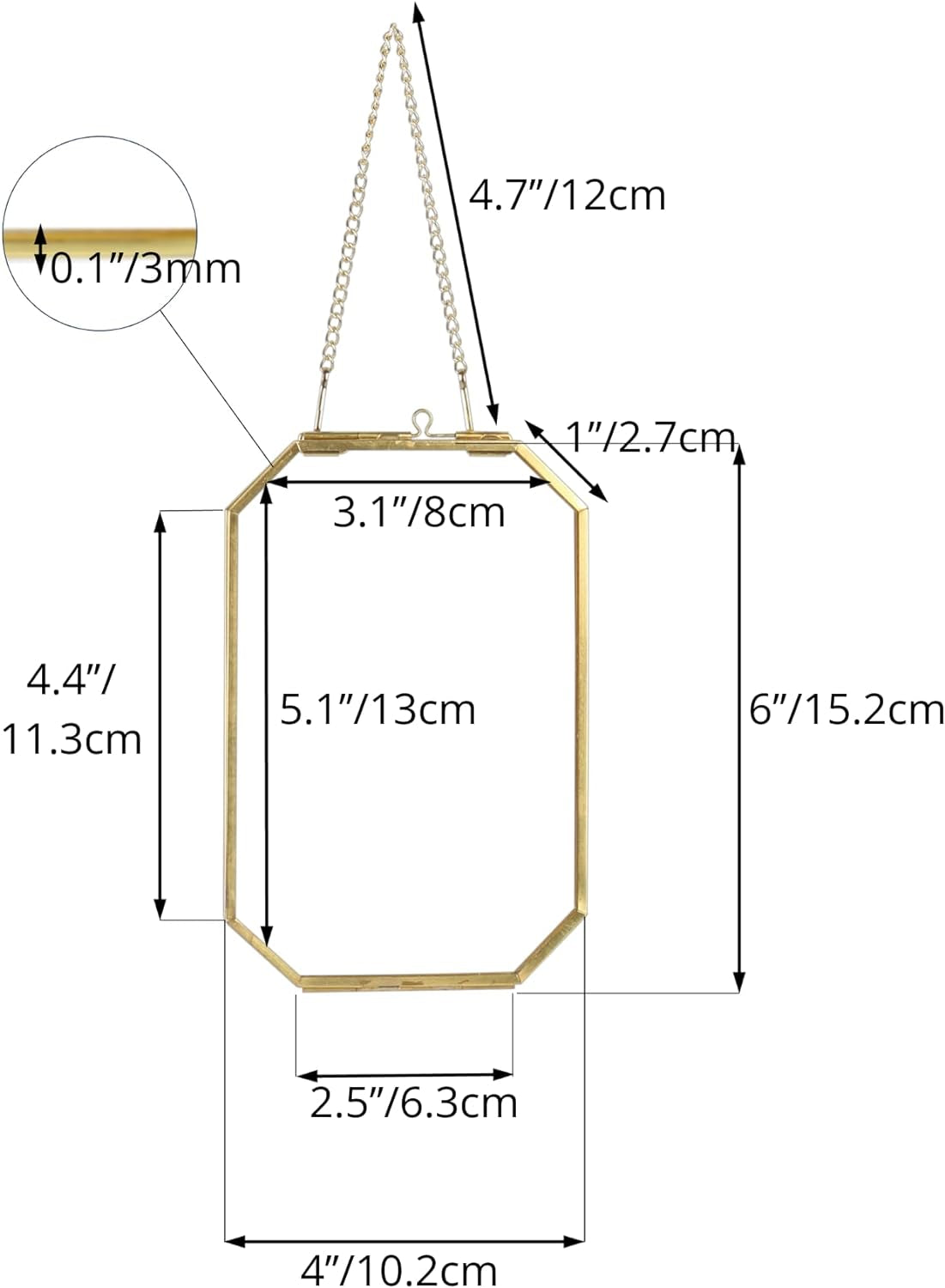4" X 6" Small Glass Floating Frame with Chain for Artwork Photo, Picture, Pressed Dried Flowers, Plant Specimen - Home Wall Hanging Decor, Octagon, Gold, Handmade (Glass Frame Only)