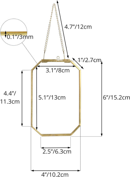 4" X 6" Small Glass Floating Frame with Chain for Artwork Photo, Picture, Pressed Dried Flowers, Plant Specimen - Home Wall Hanging Decor, Octagon, Gold, Handmade (Glass Frame Only)