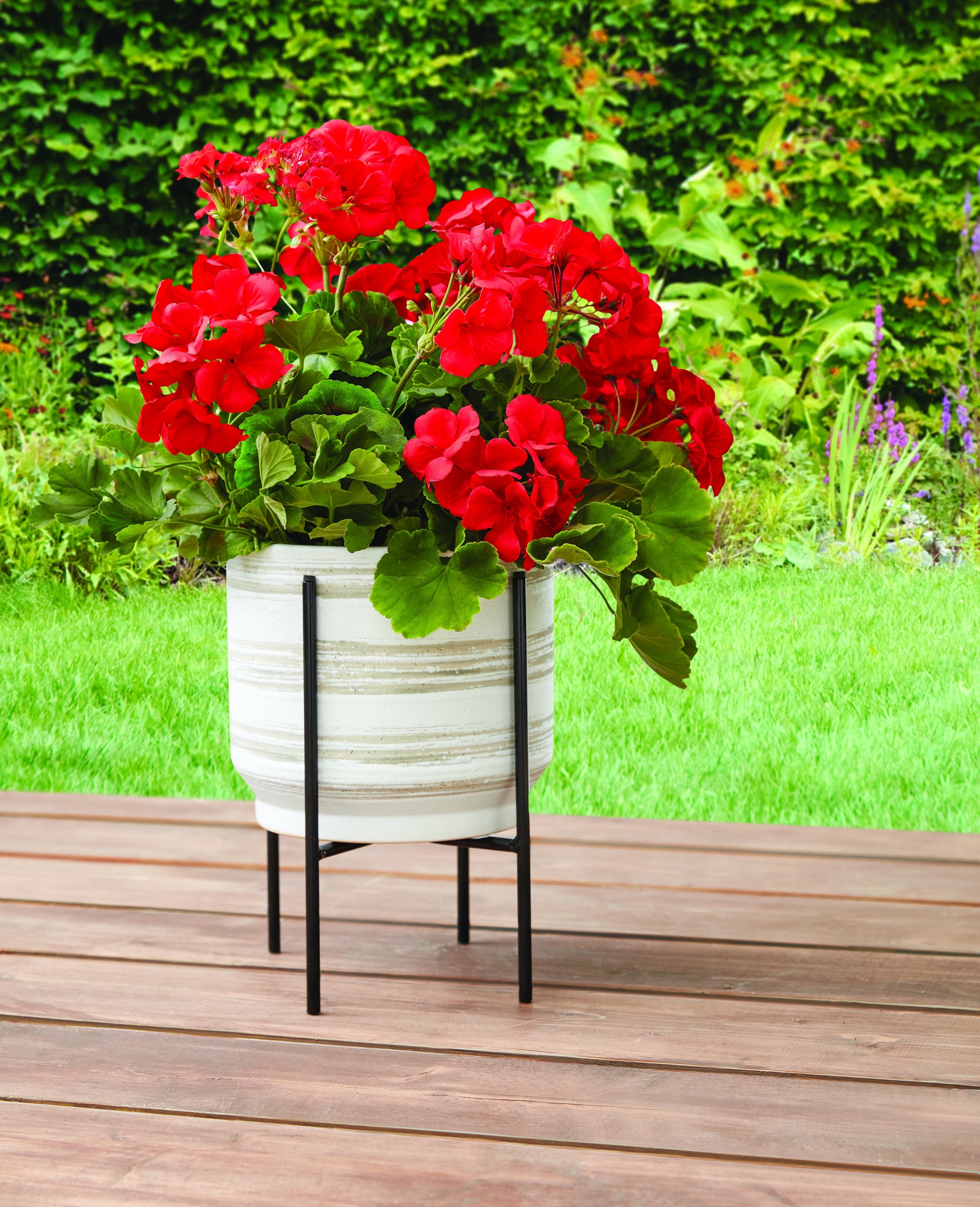 8 Inch Black Metal Versatile Plant Stand